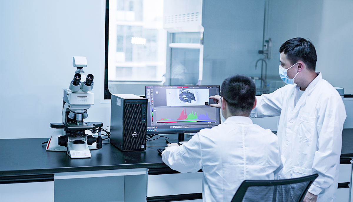 �µ���(�й���)�������޹�˾����