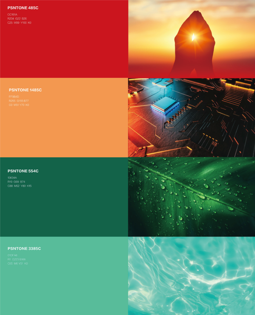 �µ���(�й���)�������޹�˾����