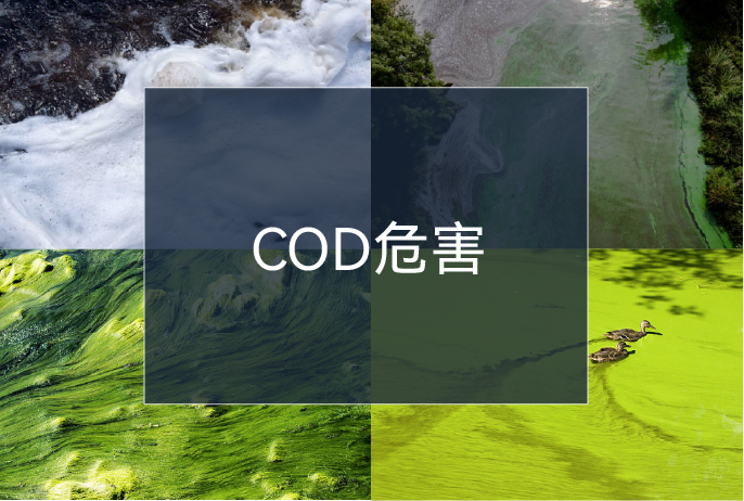 �µ���(�й���)�������޹�˾����