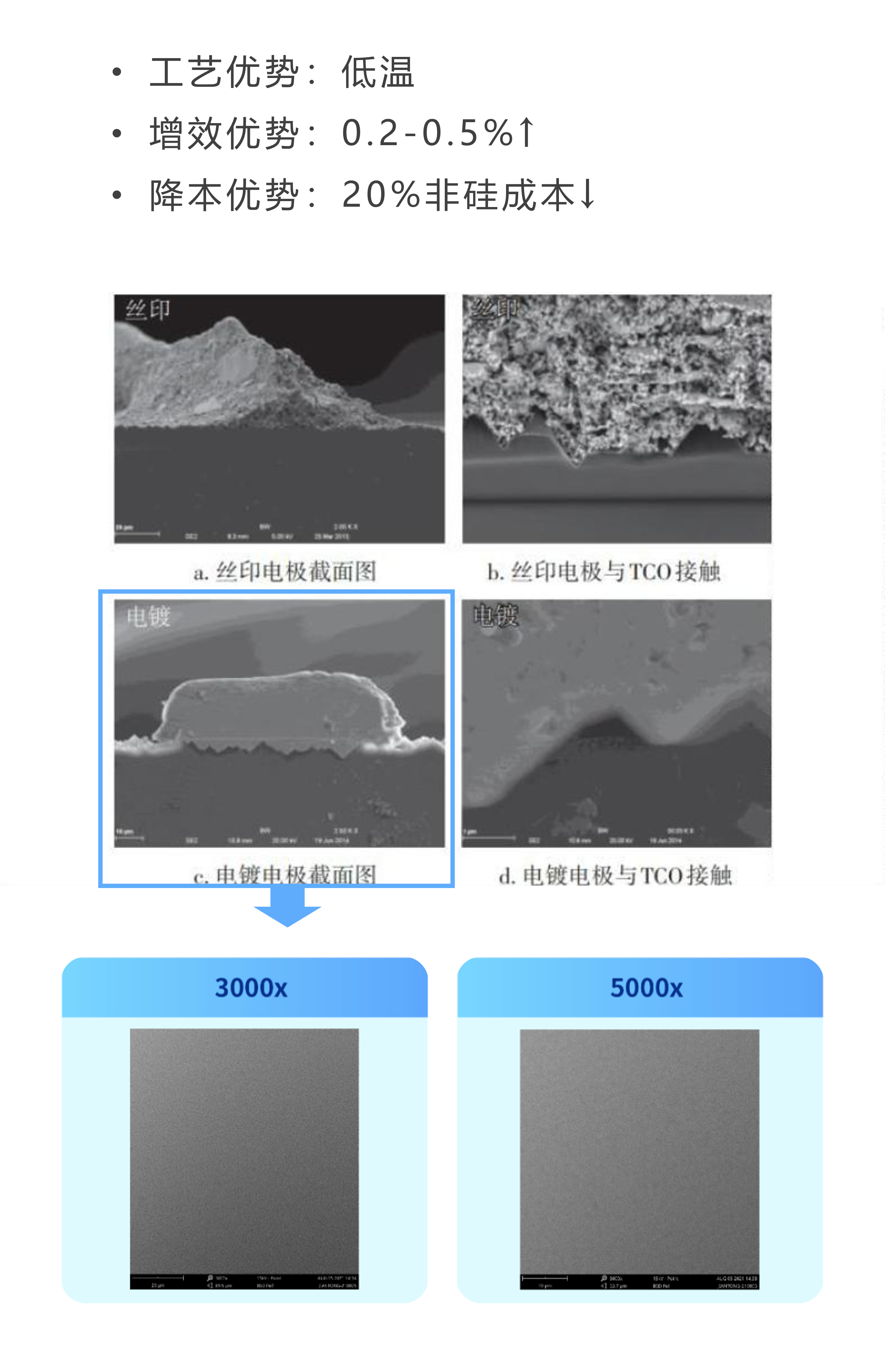 �µ���(�й���)�������޹�˾����